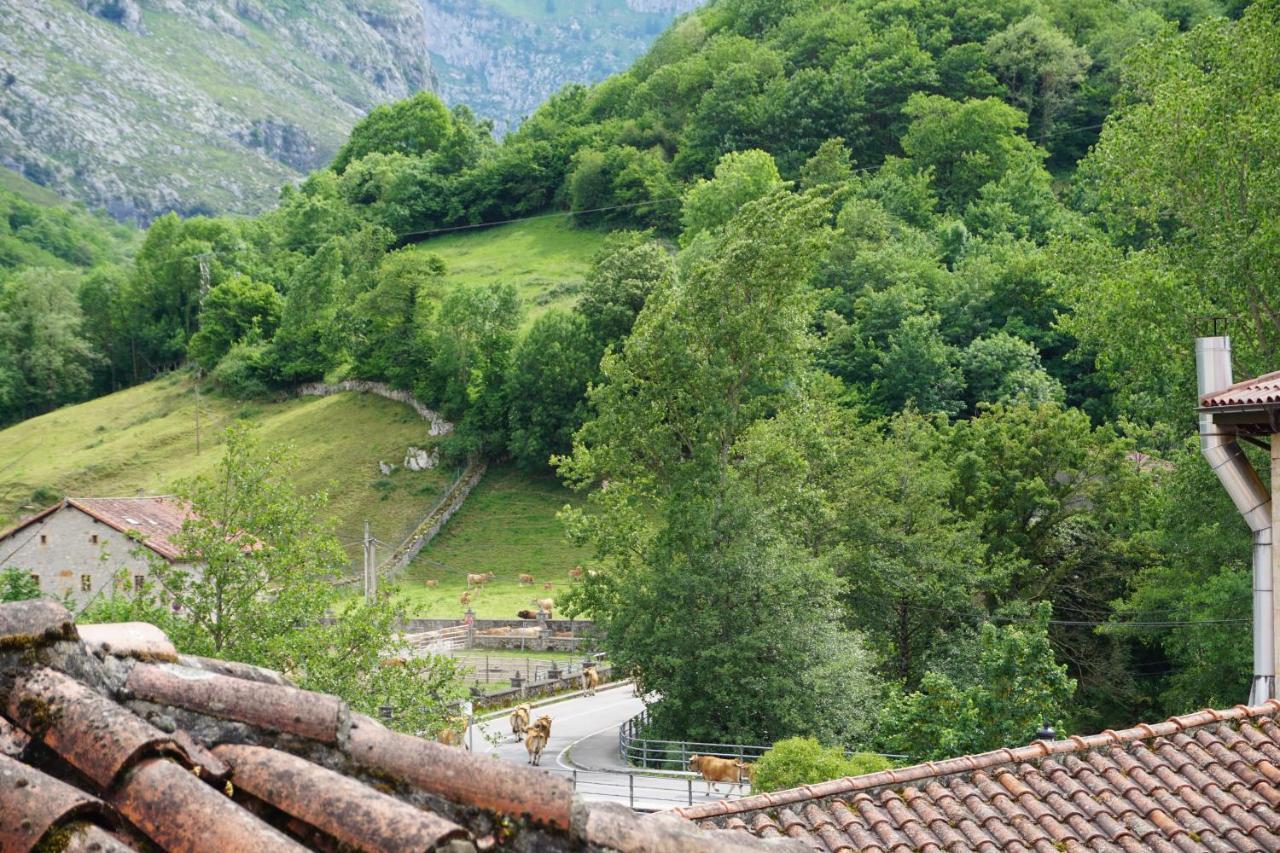 Apartahotel Montecaoru Arenas De Cabrales Exterior photo